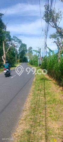 Tanah Investasi Dijual di Buleleng Punya Luas 5000m2 Tanah Investasi Dijual di Buleleng Punya Luas 5000m2