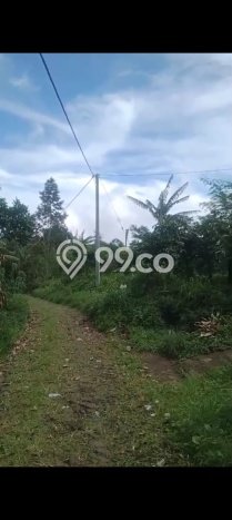 Dijual Tanah 26000m2 di Wanagiri, Buleleng Dijual Tanah 26000m2 di Wanagiri, Buleleng