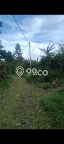 Dijual Tanah 26000m2 di Wanagiri, Buleleng Dijual Tanah 26000m2 di Wanagiri, Buleleng