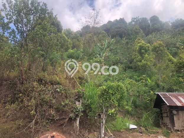 Dijual Tanah 35000m2 di Galungan, Buleleng Dijual Tanah 35000m2 di Galungan, Buleleng