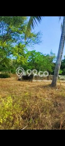 Tanah Investasi Dijual di Buleleng Punya Luas 13690m2 Tanah Investasi Dijual di Buleleng Punya Luas 13690m2