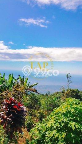 Tanah Dijual Area Strategis di Gobleg Buleleng 240m2 Tanah Dijual Area Strategis di Gobleg Buleleng 240m2