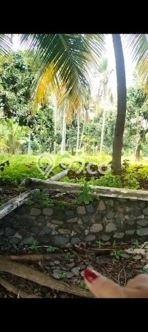 Kavling Tanah Dijual di Tejakula Buleleng Spesifikasi 2150m2 Kavling Tanah Dijual di Tejakula Buleleng Spesifikasi 2150m2