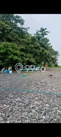 Kavling Tanah Dijual di Tejakula Buleleng Spesifikasi 2150m2 Kavling Tanah Dijual di Tejakula Buleleng Spesifikasi 2150m2