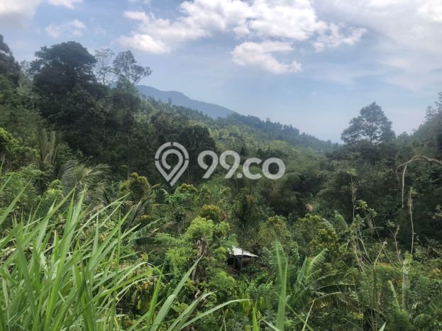 Dijual Tanah 35000m2 di Galungan, Buleleng Dijual Tanah 35000m2 di Galungan, Buleleng