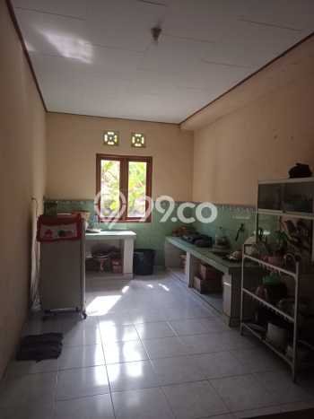 Rumah Minimalis 3 KT di Anturan Buleleng Unfurnished Rumah Minimalis 3 KT di Anturan Buleleng Unfurnished