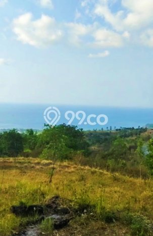 Tanah Investasi Dijual di Buleleng Punya Luas 13690m2 Tanah Investasi Dijual di Buleleng Punya Luas 13690m2