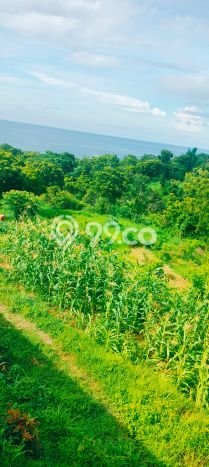 Tanah Kavling Dijual di Buleleng dengan Spesifikasi 8000m2 Tanah Kavling Dijual di Buleleng dengan Spesifikasi 8000m2