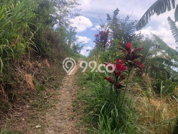 Dijual Tanah 35000m2 di Galungan, Buleleng Dijual Tanah 35000m2 di Galungan, Buleleng