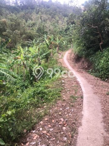 Dijual Tanah 35000m2 di Galungan, Buleleng Dijual Tanah 35000m2 di Galungan, Buleleng