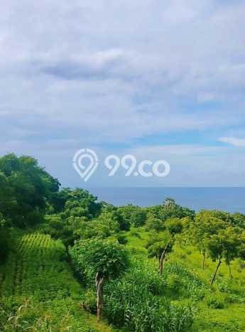 Tanah Kavling Dijual di Buleleng dengan Spesifikasi 8000m2 Tanah Kavling Dijual di Buleleng dengan Spesifikasi 8000m2