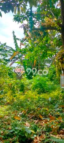 Lahan Dijual Lokasi Strategis di Buleleng dengan Luas 300m2 Lahan Dijual Lokasi Strategis di Buleleng dengan Luas 300m2