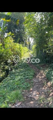 Tanah Investasi Dijual di Buleleng Punya Luas 7000m2 Tanah Investasi Dijual di Buleleng Punya Luas 7000m2