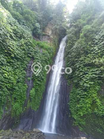 Tanah Kavling Dijual di Buleleng dengan Spesifikasi 10600m2 Tanah Kavling Dijual di Buleleng dengan Spesifikasi 10600m2
