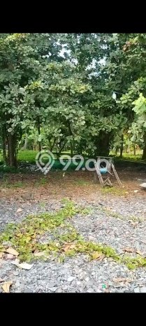 Kavling Tanah Dijual di Tejakula Buleleng Spesifikasi 2150m2 Kavling Tanah Dijual di Tejakula Buleleng Spesifikasi 2150m2
