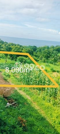 Tanah Kavling Dijual di Buleleng dengan Spesifikasi 8000m2 Tanah Kavling Dijual di Buleleng dengan Spesifikasi 8000m2