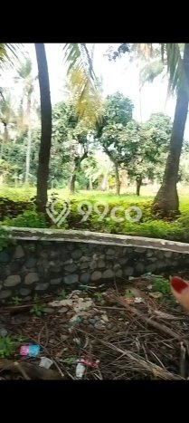 Kavling Tanah Dijual di Tejakula Buleleng Spesifikasi 2150m2 Kavling Tanah Dijual di Tejakula Buleleng Spesifikasi 2150m2