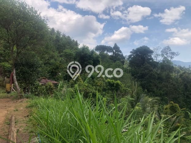 Dijual Tanah 35000m2 di Galungan, Buleleng Dijual Tanah 35000m2 di Galungan, Buleleng