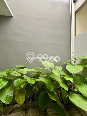 Rumah Modern Minimalis 3 KT Bisa Langsung Pindah di Ngemplak Rumah Modern Minimalis 3 KT Bisa Langsung Pindah di Ngemplak
