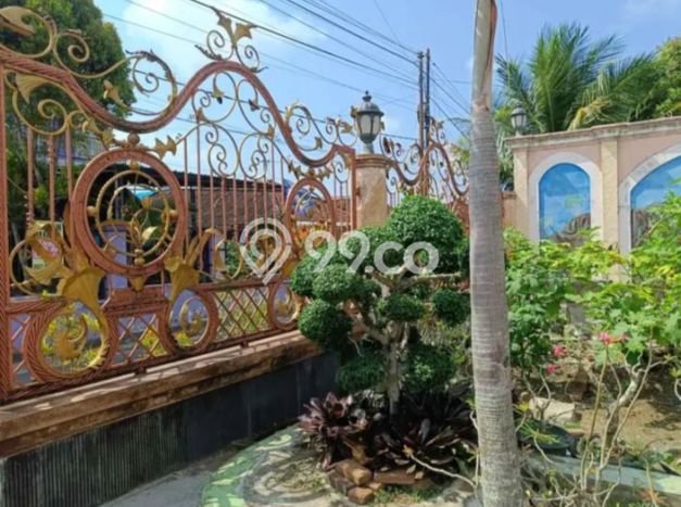 Dijual Rumah Strategis Bagus Punya 6 KT di Negara Jembrana SHM Dijual Rumah Strategis Bagus Punya 6 KT di Negara Jembrana SHM