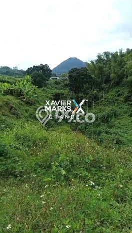 Lahan Investasi Lokasi Lawang Malang SHM Lahan Investasi Lokasi Lawang Malang SHM