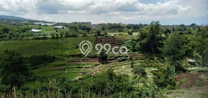 Dijual Rumah Premium dengan Fasilitas Sekitar Lengkap di Tumpang, Malang Dijual Rumah Premium dengan Fasilitas Sekitar Lengkap di Tumpang, Malang