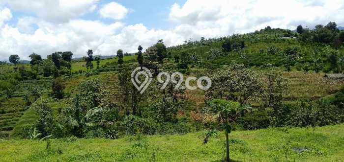 Dijual Rumah Premium dengan Fasilitas Sekitar Lengkap di Tumpang, Malang Dijual Rumah Premium dengan Fasilitas Sekitar Lengkap di Tumpang, Malang