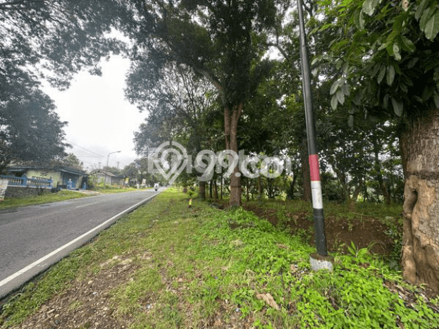 Tanah di Karangpandan, Karanganyar Luas 1671m2 Dijual Segera Tanah di Karangpandan, Karanganyar Luas 1671m2 Dijual Segera