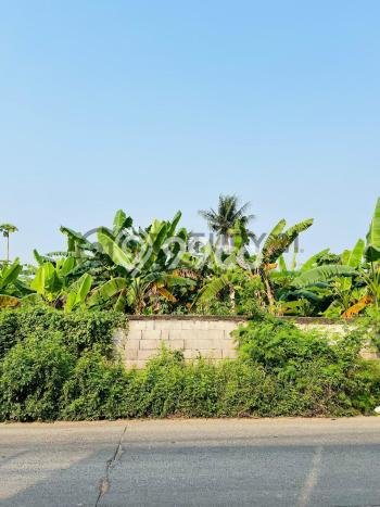 Dijual Tanah 19800m2 di Pasar Kemis, Tangerang Dijual Tanah 19800m2 di Pasar Kemis, Tangerang