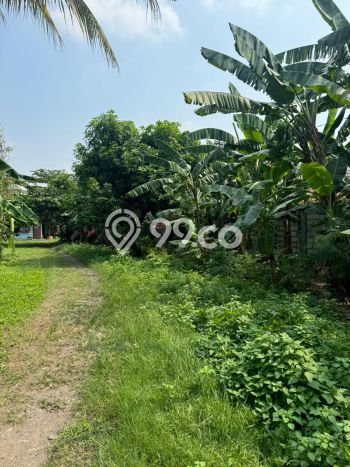 Untuk Dijual Tanah 1165m2 di Daan Mogot, Jakarta Barat Untuk Dijual Tanah 1165m2 di Daan Mogot, Jakarta Barat