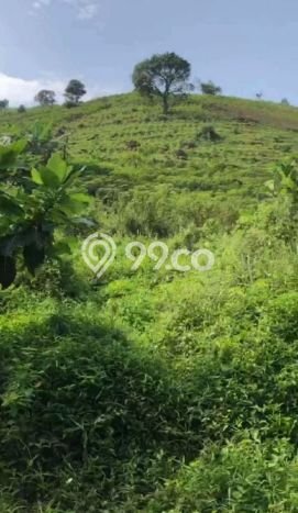Tanah Kavling Dijual di Bogor dengan Spesifikasi 1e+06m2 Tanah Kavling Dijual di Bogor dengan Spesifikasi 1e+06m2