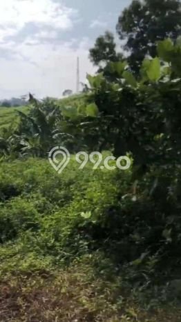 Tanah Kavling Dijual di Bogor dengan Spesifikasi 1e+06m2 Tanah Kavling Dijual di Bogor dengan Spesifikasi 1e+06m2