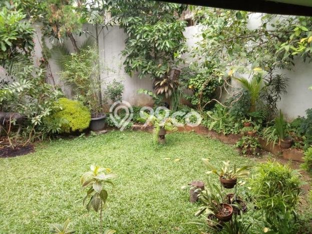 Dijual Rumah Luas Elegan Dengan View Eksklusif di Pondok Labu, Jakarta Selatan Dijual Rumah Luas Elegan Dengan View Eksklusif di Pondok Labu, Jakarta Selatan