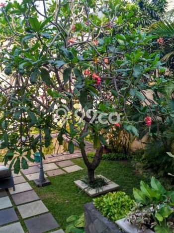 Dijual Rumah Mewah Exclusive di Gandaria, Jakarta Selatan Dijual Rumah Mewah Exclusive di Gandaria, Jakarta Selatan