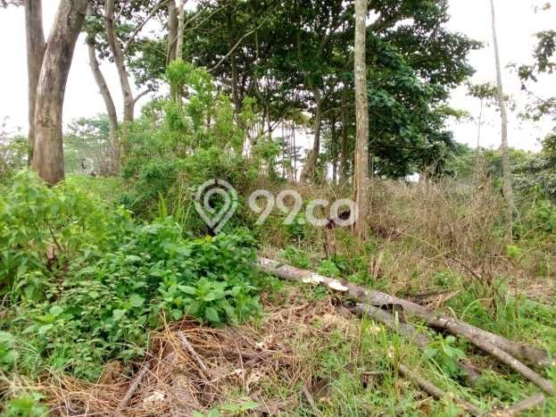 Tanah Kavling Dijual di Majalengka Kota, Majalengka dengan Luas Tanah 40000m2 Tanah Kavling Dijual di Majalengka Kota, Majalengka dengan Luas Tanah 40000m2
