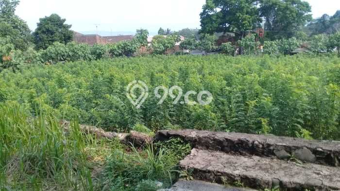 For Sale Tanah Kawasan Cikembar, Luas 20570m², Dekat Cikembar, Sukabumi, Sukabumi For Sale Tanah Kawasan Cikembar, Luas 20570m², Dekat Cikembar, Sukabumi, Sukabumi