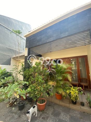 Siap Huni Rumah Mewah 3 Kamar di Kebayoran Lama Dekat ke Mana Saja Siap Huni Rumah Mewah 3 Kamar di Kebayoran Lama Dekat ke Mana Saja