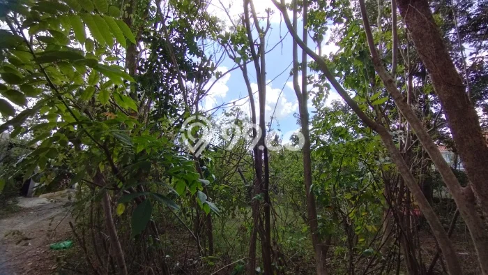 Untuk Disewa Tanah di Kuta Selatan Luas 800m2 SHM Untuk Disewa Tanah di Kuta Selatan Luas 800m2 SHM