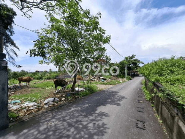 Kavling Tanah untuk Dijual di Sempidi, Badung, Luas 3000m2 Kavling Tanah untuk Dijual di Sempidi, Badung, Luas 3000m2