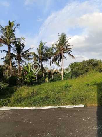Tanah Dijual di Gianyar Seluas 418m2 Strategis Tanah Dijual di Gianyar Seluas 418m2 Strategis