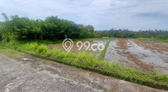 Tanah Dijual Lokasi Selemadeg, Tabanan dengan Luas Tanah 10600m2 dan Status SHM Tanah Dijual Lokasi Selemadeg, Tabanan dengan Luas Tanah 10600m2 dan Status SHM