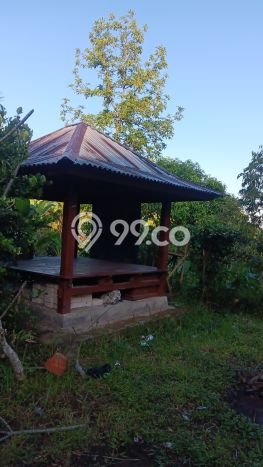 Untuk Dijual Tanah di Buleleng, Luas 6000m2 SHM Untuk Dijual Tanah di Buleleng, Luas 6000m2 SHM