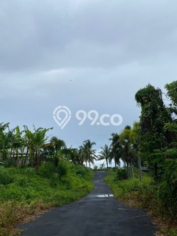 Tanah Kavling Dijual di Badung dengan Spesifikasi 3750m2 Tanah Kavling Dijual di Badung dengan Spesifikasi 3750m2