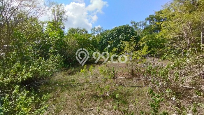 Tanah Disewa di Ungasan Strategis dan Memiliki Luas 400m2 Tanah Disewa di Ungasan Strategis dan Memiliki Luas 400m2