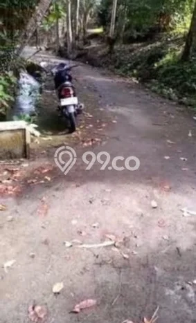 Tanah Kosong Dijual di Tabanan dengan Area 100000m2 Tanah Kosong Dijual di Tabanan dengan Area 100000m2