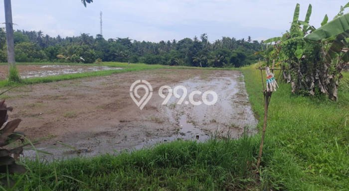 Tanah Dijual Lokasi Selemadeg, Tabanan dengan Luas Tanah 10600m2 dan Status SHM Tanah Dijual Lokasi Selemadeg, Tabanan dengan Luas Tanah 10600m2 dan Status SHM