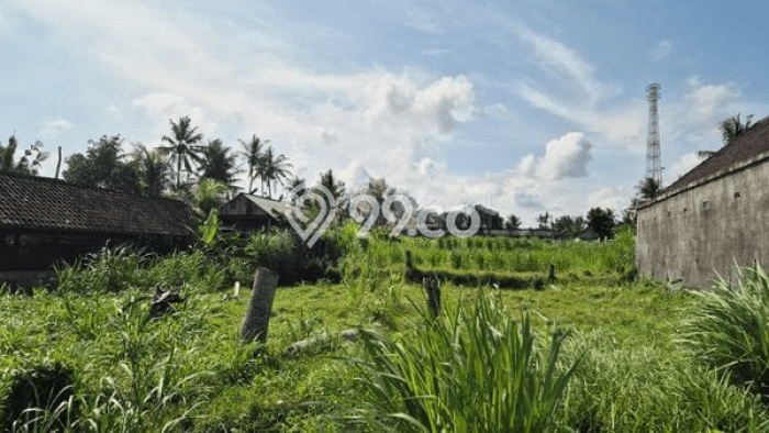 Dijual Tanah Lokasi Pering, Gianyar Seluas 1167m2 Dijual Tanah Lokasi Pering, Gianyar Seluas 1167m2
