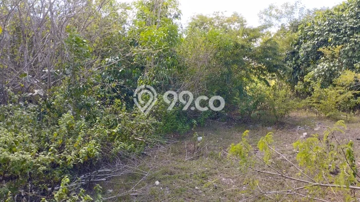 Tanah Disewa di Ungasan Strategis dan Memiliki Luas 400m2 Tanah Disewa di Ungasan Strategis dan Memiliki Luas 400m2