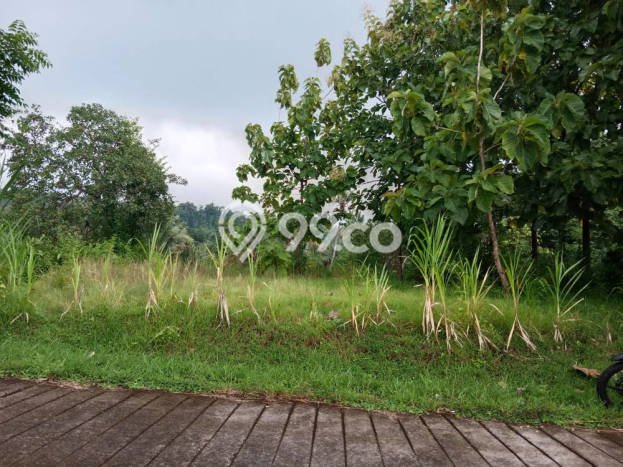 Tanah Dijual Lokasi Seririt, Buleleng Luas 550m2 Legalitas Aman Tanah Dijual Lokasi Seririt, Buleleng Luas 550m2 Legalitas Aman