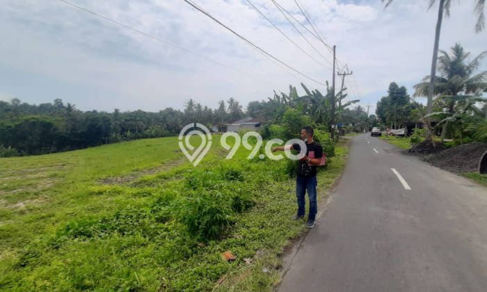 Tanah Dijual di Tabanan Seluas 3200m2 Strategis Tanah Dijual di Tabanan Seluas 3200m2 Strategis
